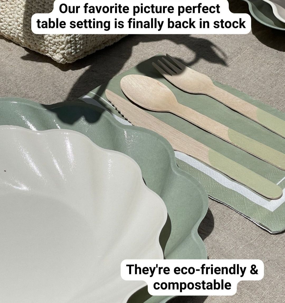 Eco Compostable Table Setting- Sage