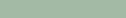 Preppy Palm