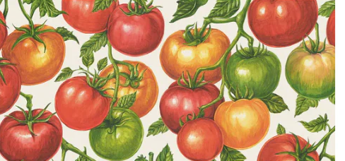 Tomato-scape