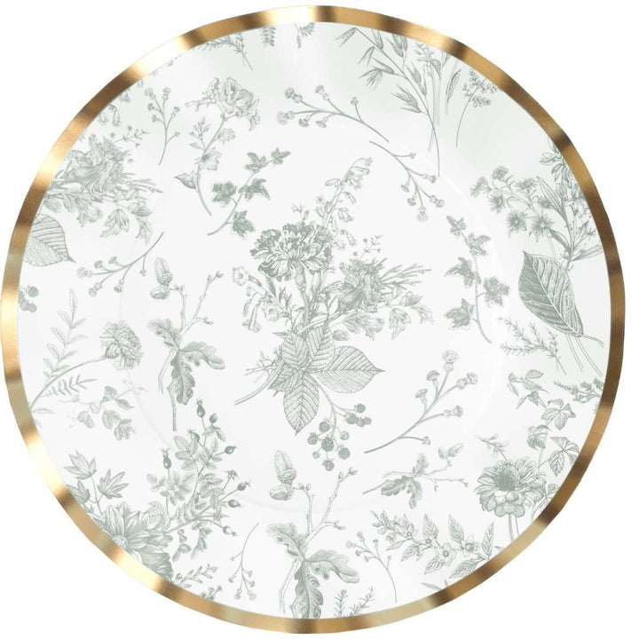 Timeless Sage Dinner Plates/8pk