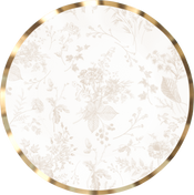 Timeless Sand Dinner Plates/8pk
