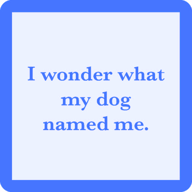 The Drinks On Me "I Wonder What My Dog Named Me Coaster" is a light blue square coaster with a thick blue border and witty text—ideal for funny housewarming gifts or unique bar cart accessories.