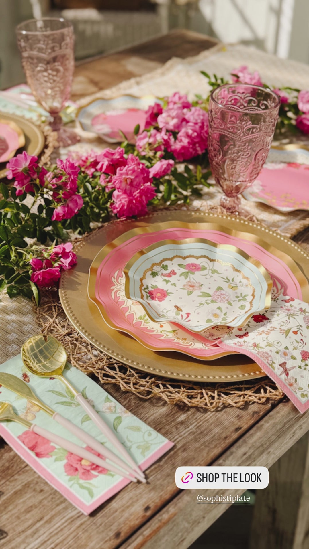 Rococo Dinner Plates/8pk