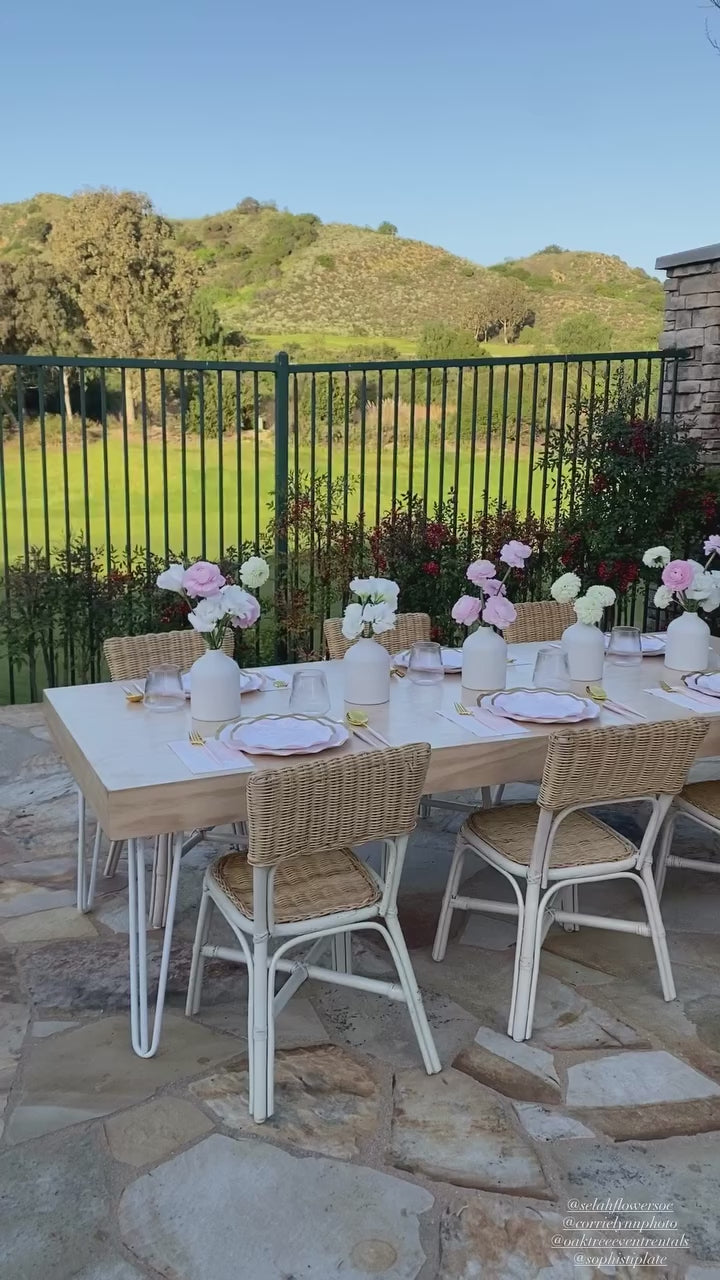 Timeless Blush Dinner Plates/8pk