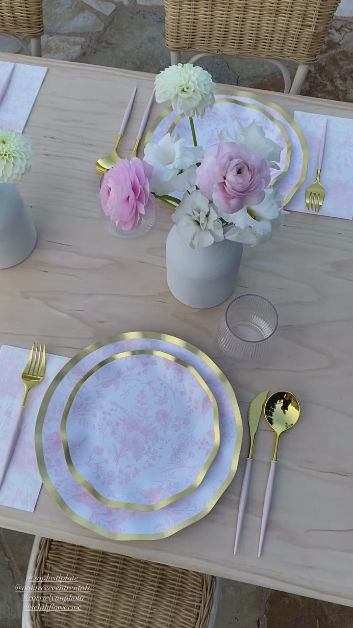 Timeless Blush Dinner Plates/8pk